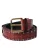 Dolce & Gabbana Bruine Alligatorleren Riem met Studs en Metalen Gesp