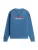 Tommy Jeans Sweatshirt  blauw / rood / wit