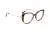 Ana Hickmann Optical Frame HI6334T G21 51 Titanium