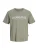 Jack & Jones Plus Shirt ‘JJDevin Daytona’  groen / wit