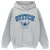 Disney Jongens Lilo & Stitch Collegial Hoodie (Sportgrijs)