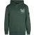 Petrol Industries – Jongens Grafische Hoodie Deschutes – Groen
