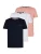 Petrol Industries Shirt  navy / rosa / wit