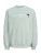 Jack & Jones Junior Sweatshirt ‘JCOClub Summer’  mintgroen / zwart / wit