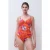 Chantelle Icon Swimwear Painted Flowers
