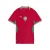 PUMA Tricot ‘Marokko 2026’  goudgeel / groen / rood