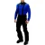 Falcon joshua –