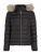 Tommy Jeans Winterjas  beige / lichtgrijs / zwart