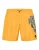 Beachwear Short Trousers Dragon