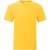 Fruit of the Loom Unisex volwassen iconisch t-shirt