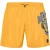 Beachwear Short Trousers Dragon