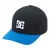 Pet DC Shoes Star Seasonal