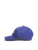 Tommy Jeans Pet  blauw / wit