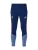 ADIDAS PERFORMANCE Sportbroek ‘FC Bayern München 26/27’  opaal / donkerblauw / goud / vuurrood