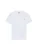 DICKIES Shirt  wit