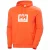 Hoodie Helly Hansen Box