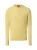 Finshley & Harding Trui  citroen