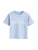 Next Shirt  duifblauw / wit