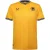 Castore Wolverhampton Wanderers FC-voetbalshirt voor heren (Oud Goud)