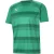 Puma TeamVision-voetbalshirt voor heren (Groen, Wit)