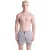 Arena Men’s Tech Wool Short Light Grey