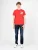 Pepe Jeans T-shirt Alford Mannen rood