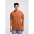 America Today regular T-shirt terra