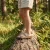 Birkenstock Birkenstock All Arizona Rivet gray taupe