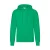 Hoodie Fruit of the Loom Classic