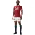 Canterbury Rugby-shirt voor heren van de British & Irish Lions, 2025 (Rode Dahlia)