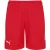 PUMA Sportbroek  grijs / rood / wit