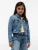 TOMMY HILFIGER Tussenjas  navy / blauw denim / rood / wit