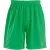 SOLS Heren San Siro 2 Sport Shorts (Helder groen)