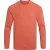 Craghoppers Heren SolarShield+ Nosilife T-shirt met lange mouwen (Donkere Sahara)