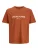 Jack & Jones Junior Shirt ‘JORCanggu’  pastelblauw / oranje / bloedrood