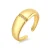 Luxenter Brilliant Metal en Zirconia Alloy Ring afgewerkt in 18 karaats geelgoud – Dushli
