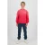 Raizzed sweater met backprint rood
