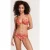 Shiwi Ladies Luca Bikini Set Vacation Palm Spice Route Brown