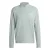 ADIDAS PERFORMANCE Functioneel shirt ‘Adi365 Iconic’  mintgroen / pastelgroen