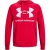 Under Armour Heren rival groot logo fleece training hoodie