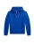 Polo Ralph Lauren Sweatshirt  blauw / groen