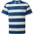 Craghoppers Denali gestreept T-shirt voor heren (Poseidon Blauw)