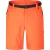 Dare2b Heren tuned in pro lichtgewicht cargo shorts