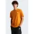 The North Face T-shirt Evolution NSE oranje