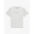 T-shirt Quiksilver EV Wild Worlds