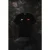 Malelions x Richard Verschoor Jeddah P1 | Black