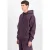 Alpha Industries Hoodie Uv Plum