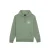 Hoodie Dickies Parrotsville