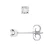 Diamanten oorknopjes 0060 Cts White Gold