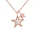 Star Necklace Zirkoniumoxiden zilver 925 roze vergulde